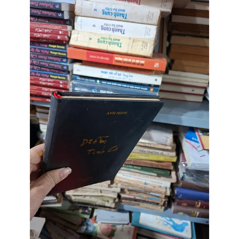 Diễm Tình Ca 712556