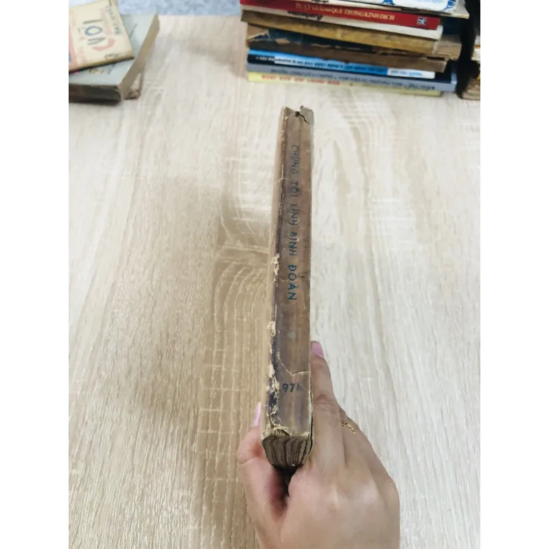 Chúng Tôi Lính Bình Đoàn – tập truyện ký thời chiến 928947