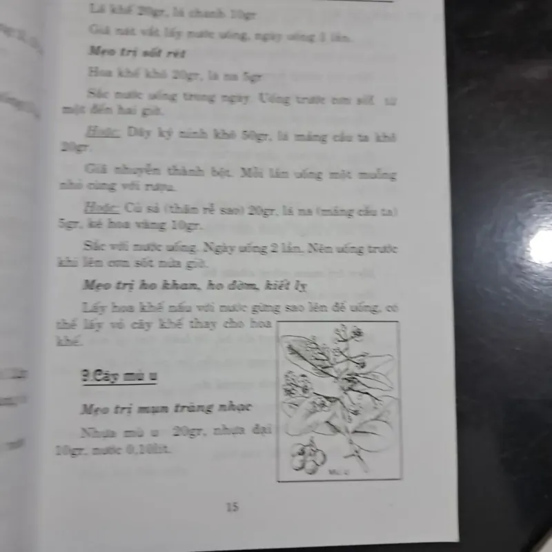 Mẹo lạ thuốc hay - chữa bệnh bằng cây thuốc nam 995302