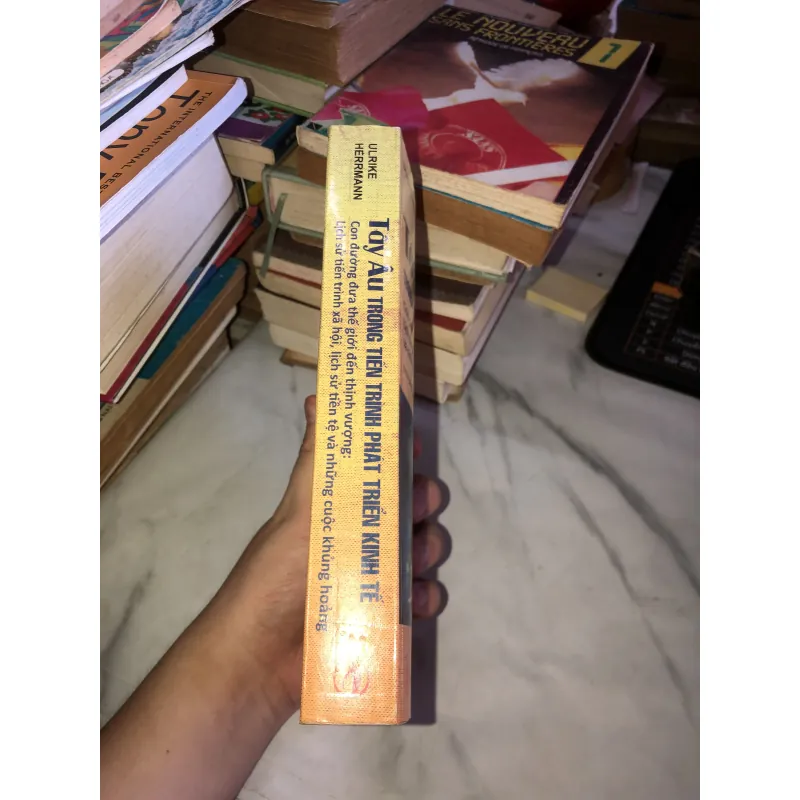 Tây Âu Trong Tiến Trình Phát Triển Kinh Tế-ULRIKE HERMANN 932824