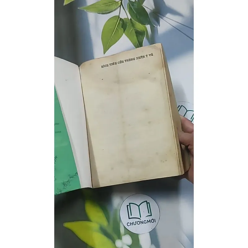 Bích Tiêu Cửu Trùng Xuân Ý Vũ 1 694959