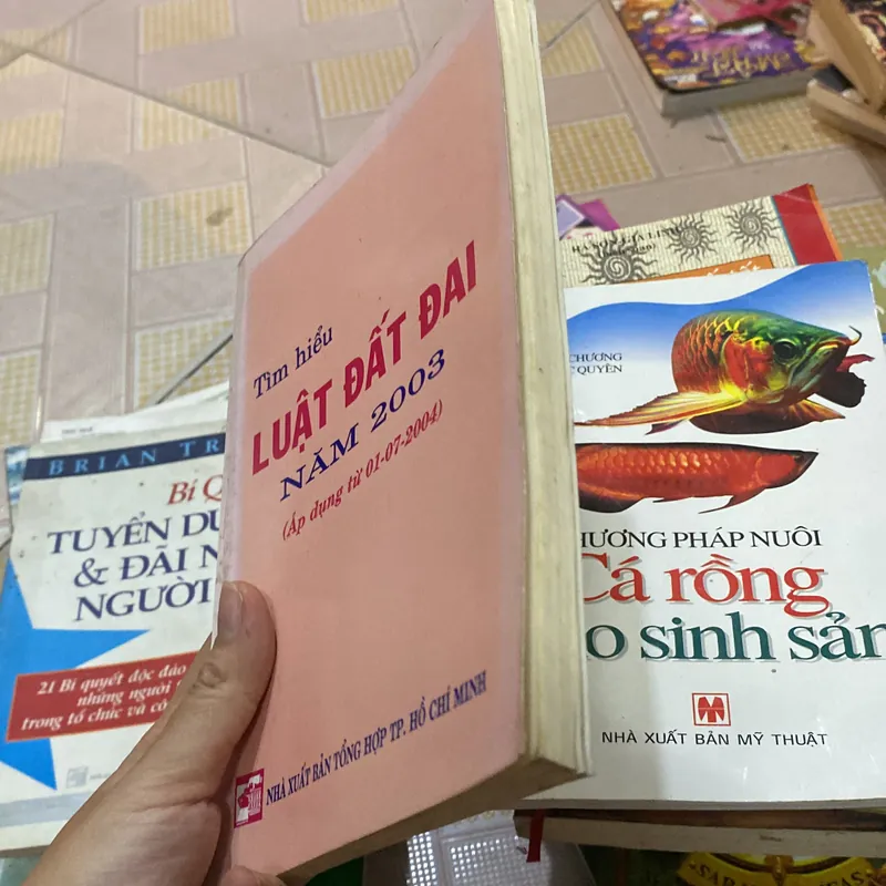 Tìm hiểu luật đất đai năm 2003 736368