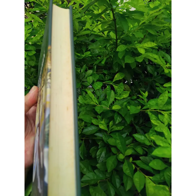 Con gái Ivan, mẹ Ivan của Valentin Rasputin  1002572