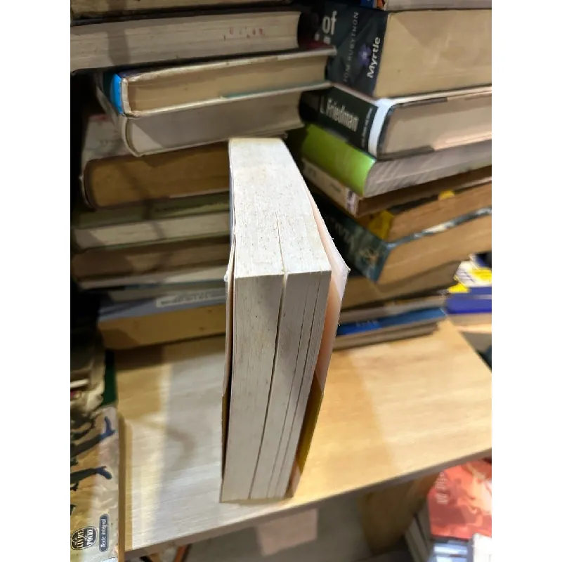 Vies De Job - Pierre Assouline 591316