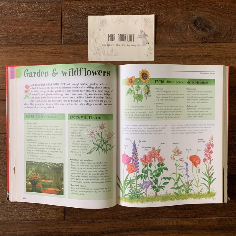 Sách ngoại văn The Big Book of Knowledge, Used, Bìa cứng, Siêu dày 542211