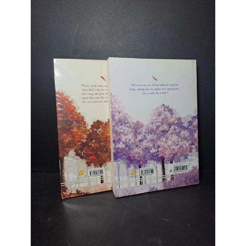 Hoá ra anh vẫn ở đây 1,2 - Hàn Vũ Phi 2018 mới 90% ố nhẹ Truyện Ngôn Tình HCM2012-15 924648