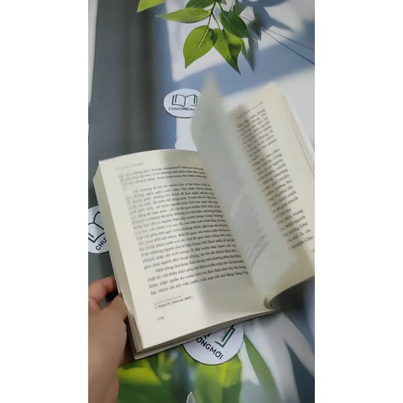 Việt Nam Của Tôi - Những Câu Chuyện Nhận Con Nuôi 705739