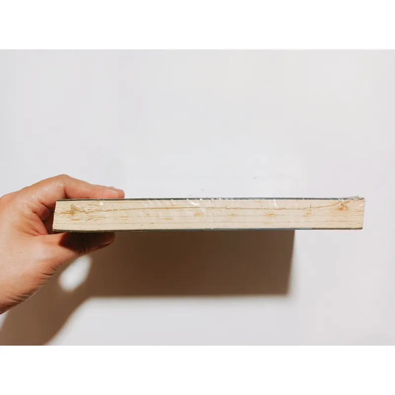 Four - Số Bốn - Veronica Roth 777209