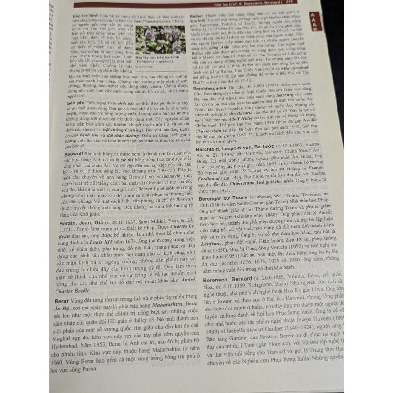 Từ điển bách khoa Britannica 799508