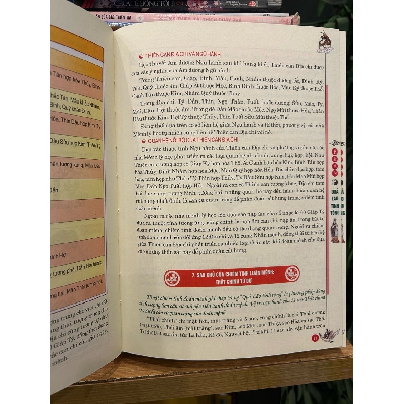 Quả lão tinh tông -Chu Tước Nhi dịch 786155