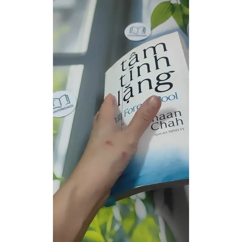 Tâm Tĩnh Lặng - Achaan Chah 727369