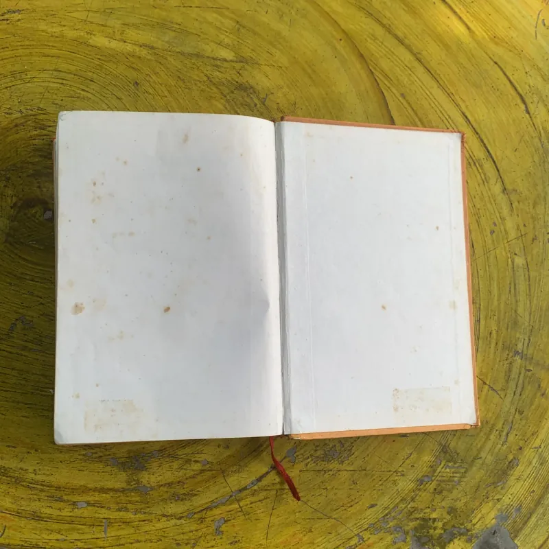  BAO THANH THIÊN THẤT HIỆP NGŨ NGHĨA 937222