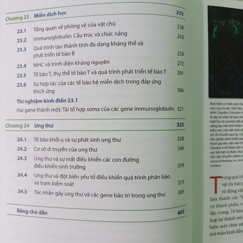 Sinh học phân tử của tế bào (tập 5) 728840