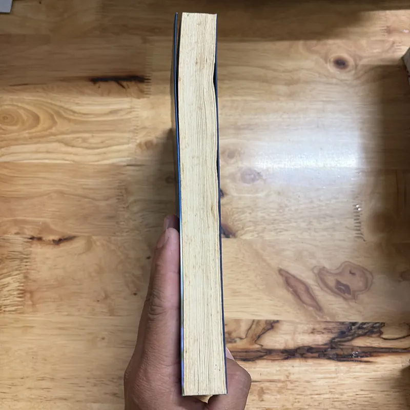 II Tự Truyện: Để Gió Cuốn Đi - Ái Vân - 2016 701007