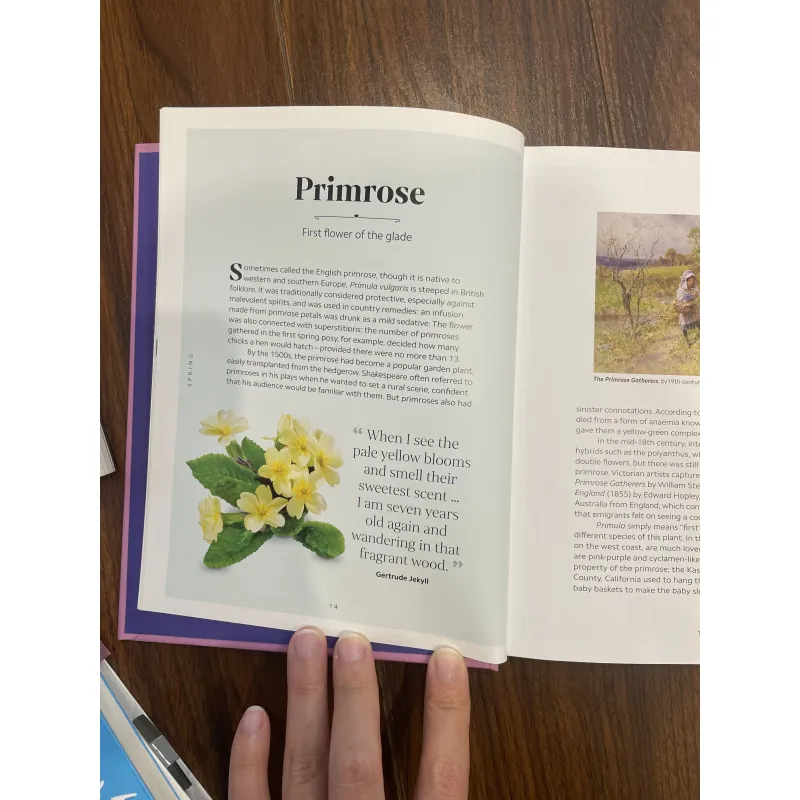 The Secret language of Flowers 998486