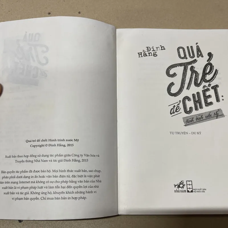 Quá trẻ để chết - Đinh Hằng (Hành trình nước Mỹ) - c43 675145