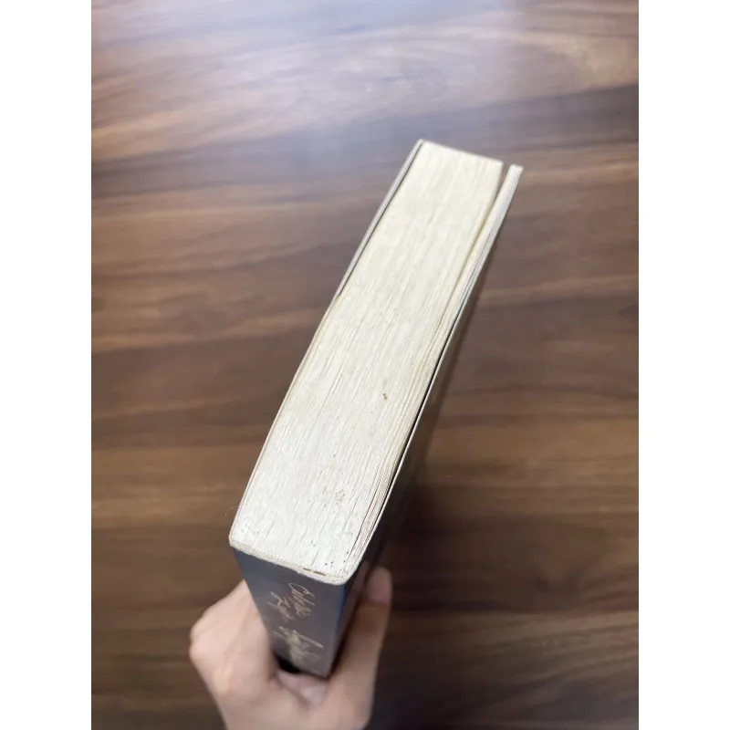 Bóng hình của gió - Carlos Ruiz Zafón 991476