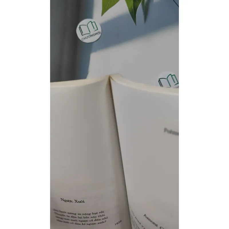 Thơ Nguyễn Bính Tuyển Chọn - Song ngữ Việt Pháp - Hoàng Hữu Đản dịch 798292