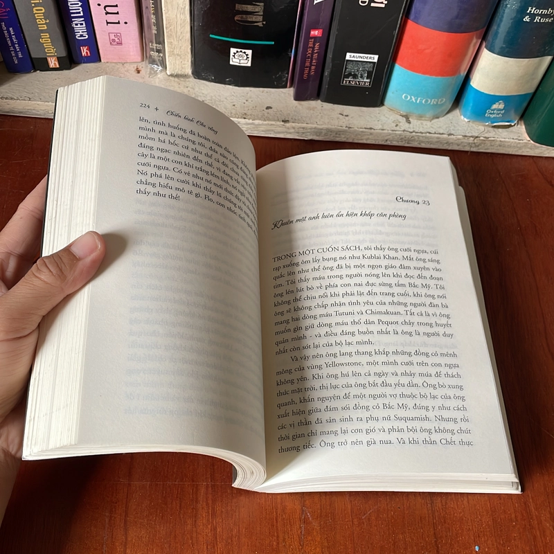 II Sách Truyền Cảm Hứng: Chiến Binh Cầu Vồng - ANDREA HIRATA - 2020 542353