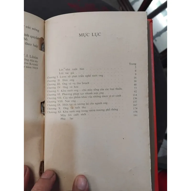 Ong mật phục vụ con người  của Ioiris  999669