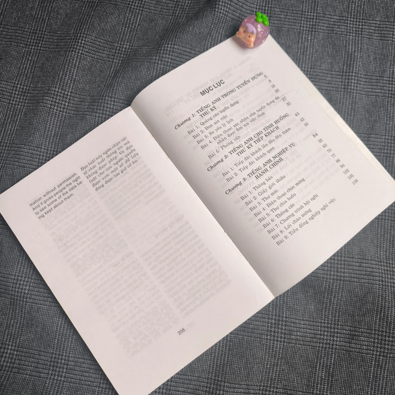 Tiếng Anh Cho Thư Ký Giám Đốc - English For Secretaries - Hồng Quang, Ngọc Huyền 550747