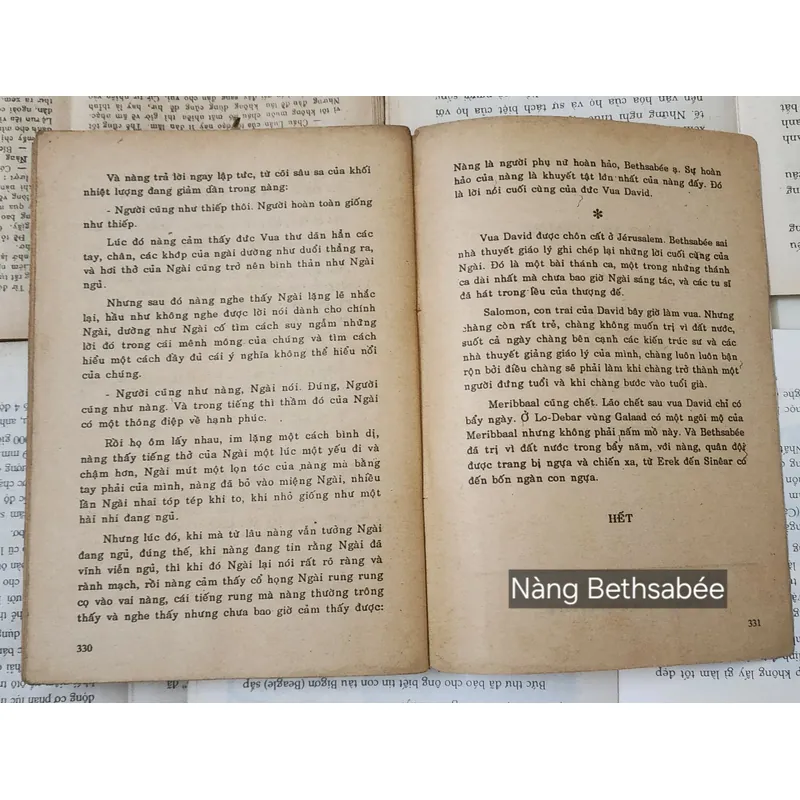 Tiểu thuyết Pháp: NÀNG BETHSABEE - Torgny Lindgren 717968