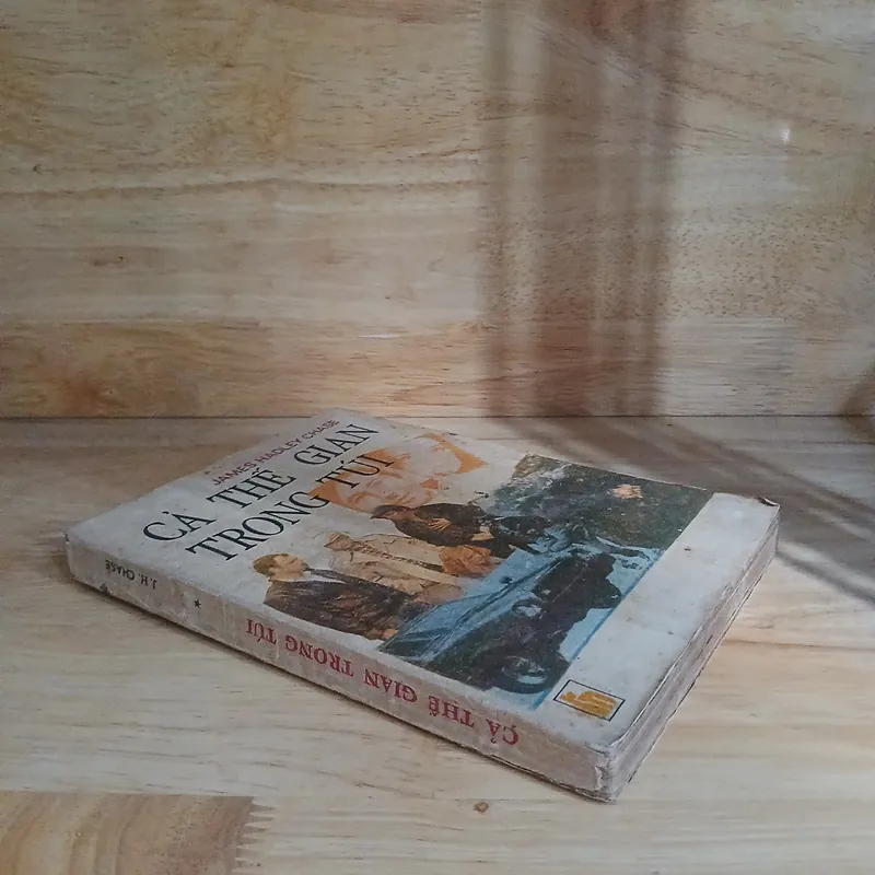 Tiểu Thuyết Trinh Thám - Cả Thế Gian Trong Túi (James Hadley Chase) 593845