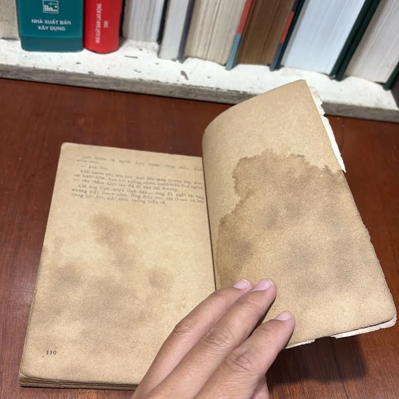 II Văn Học: Người Cười - VICTO HUYGO - 1988 751109