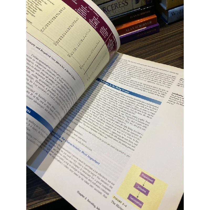 Managing Human Resources, 2nd edition - Luis R. Gómez-Mejía 363170
