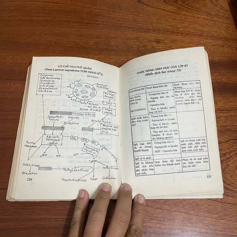 II Sức Khoẻ: Điều Trị Hen Phế Quản - PTS. BS. Dương Trọng Hiếu - 1996 494141