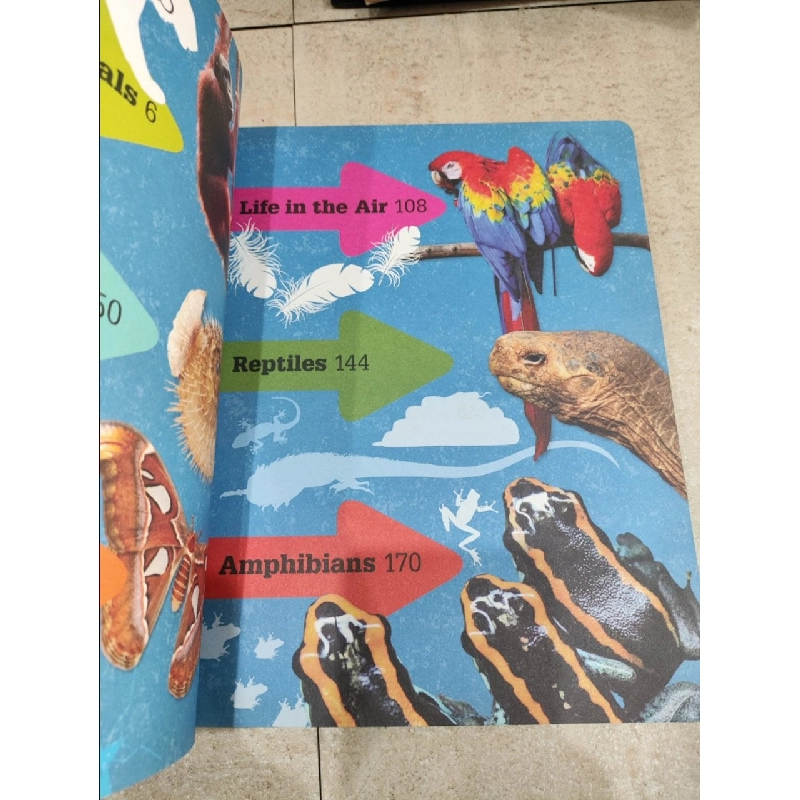 1000 Amazing Facts Facts About Animals!! 1005506