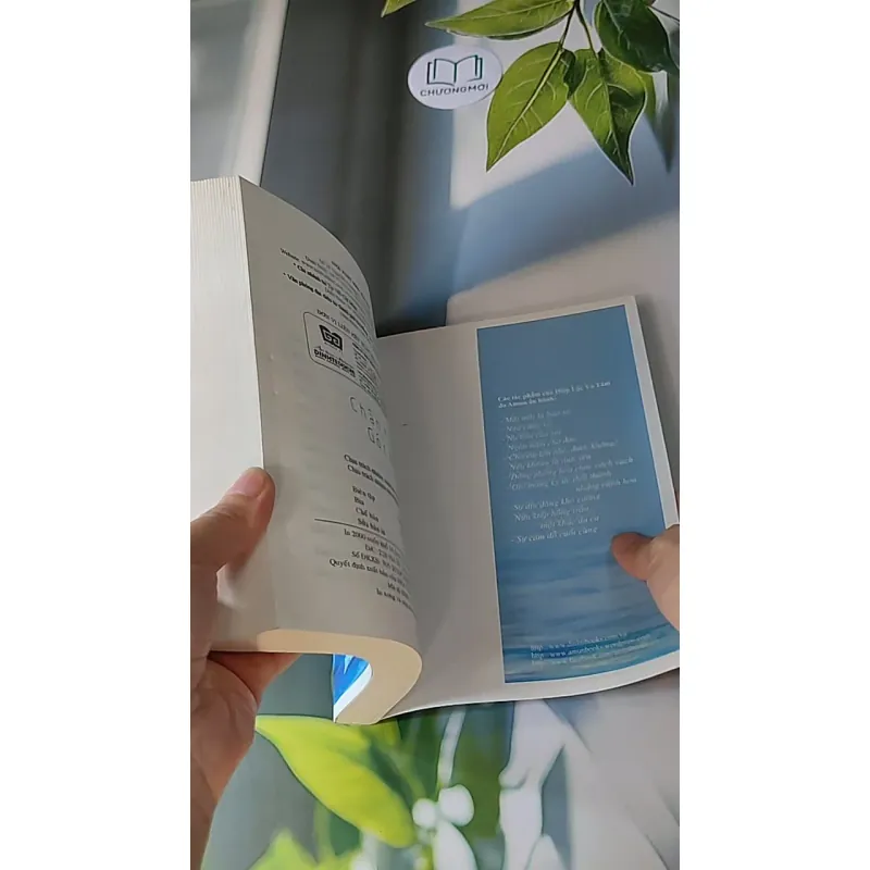 Chân trời góc bể - Diệp Lạc Vô Tâm 607726