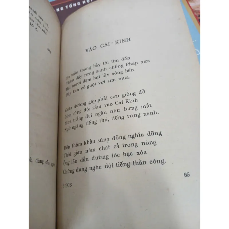 TIẾNG ONG BAY - NGUYỄN XUÂN THÂM 936848