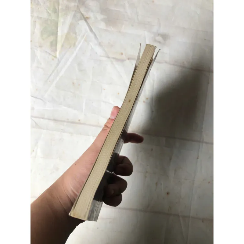 Đằng Sau Những Khuôn Cửa Sổ Thần - Cornelia Funke 800224