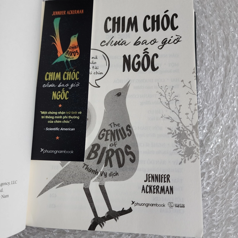 Chim chóc chưa bao giờ ngốc | Jennifer Ackerman 517750