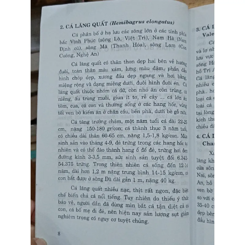 Kỹ thuật sản xuất giống & nuôi cá lăng nha, cá lăng vàng - KS. Nguyễn Chung 571656