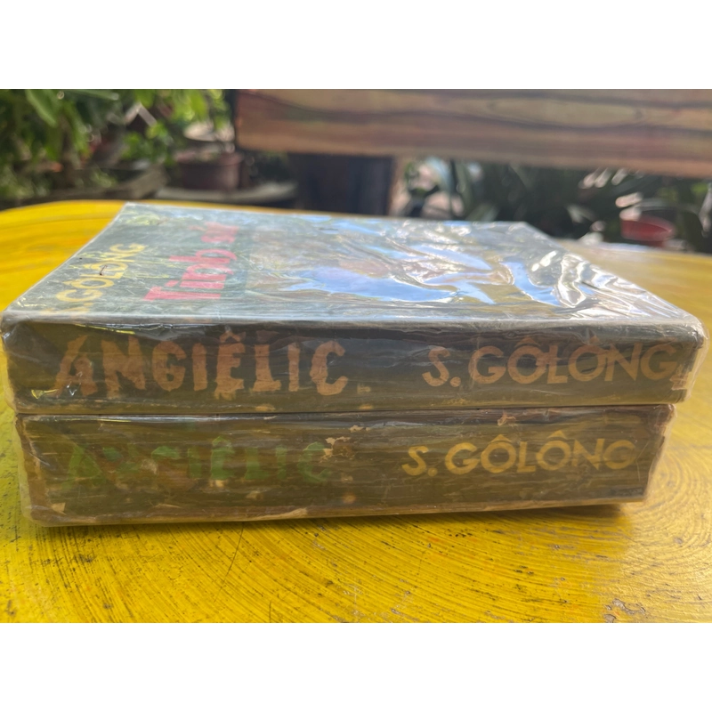 Tình sử Angelic- Secgian Golong 463293