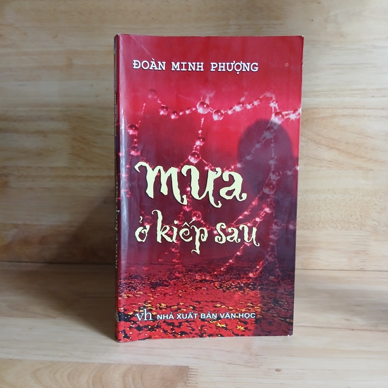 Mưa Ở Kiếp Sau - Đoàn Minh Phượng 488824