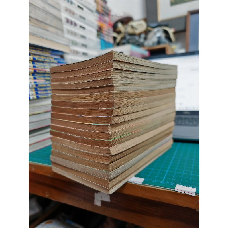 TRUYỆN TRANH Mirano Nhà Tôi - Yukiya Sakuragi 256906