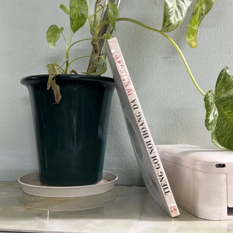 Tiếng gọi nơi hoang dã 746443