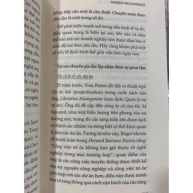 NỀN KINH TẾ TỰ DO - MARION MCGOVERN (LÊ HỒNG PHƯƠNG HẠ DỊCH)  1025284