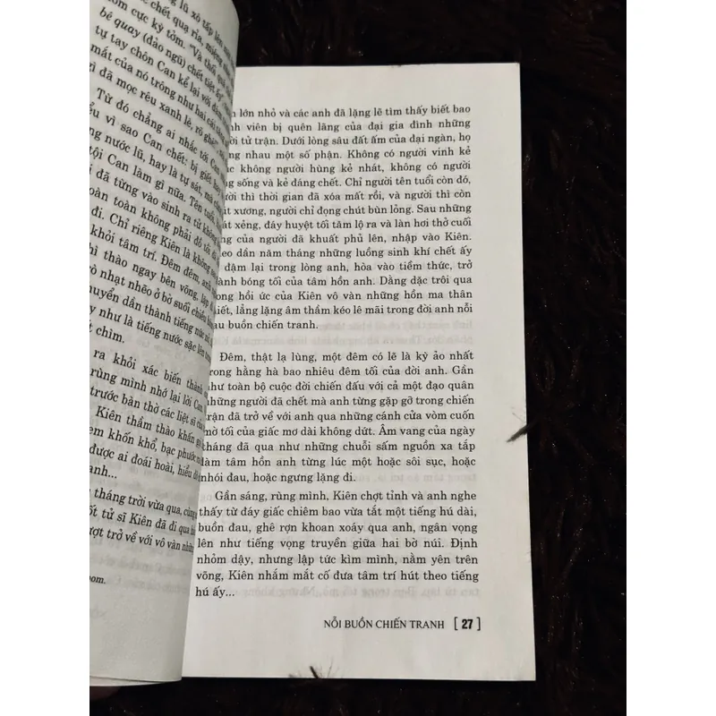 Nỗi buồn chiến tranh 738137
