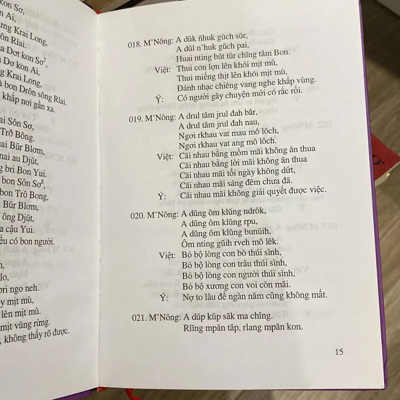 KHO TÀNG TỤC NGỮ & THÀNH NGỮ DÂN GIAN M'NÔNG, Song ngữ M'Nông - Việt, bìa cứng (XB 2010) 697732