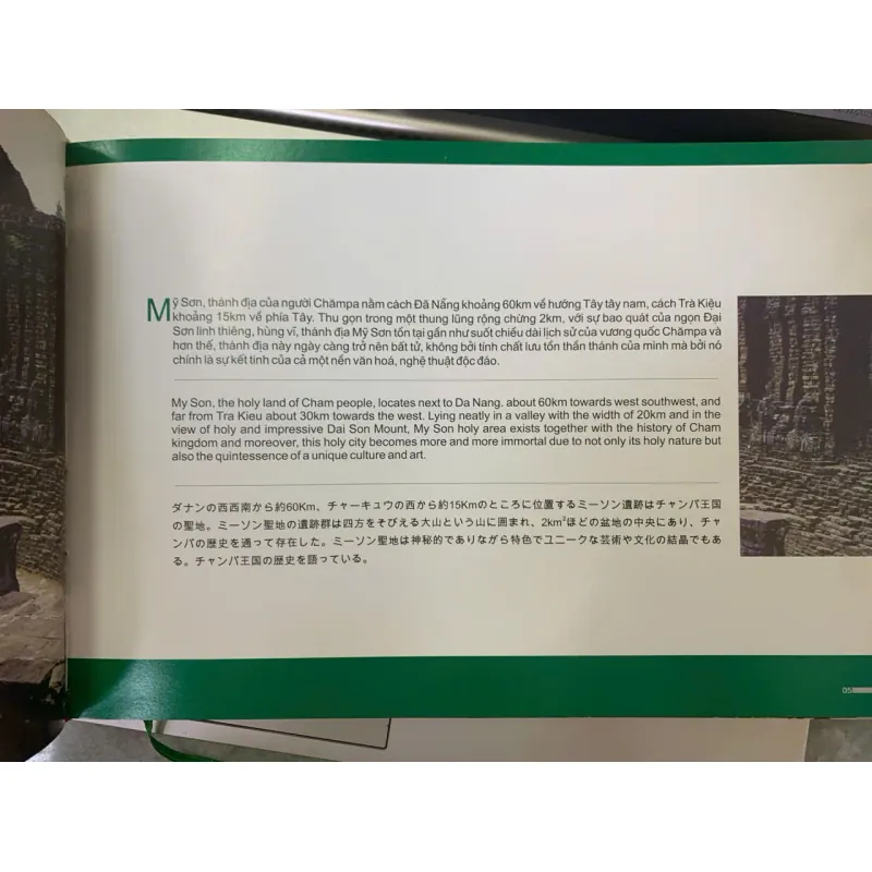 THÁNH ĐỊA MỸ SƠN - NGUYỄN VĂN BÌNH (CHỦ BIÊN) 751395