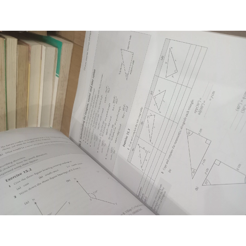 Cambridge IGCSE Mathematics Extended Practice Book - K. Morrison, L. Dunne 957396