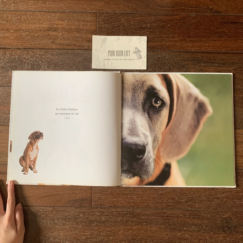 Sách A Home for Dixie: The True Story of a Rescued Puppy, Used, Bìa Cứng, Khổ Lớn 498026