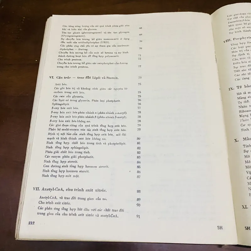 Sinh hoá học hiện đại theo sơ đồ  726792