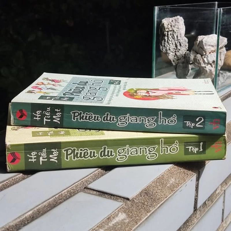 Phiêu du giang hồ - Hạ Tiểu Mạt (Bộ 2 cuốn) 393739