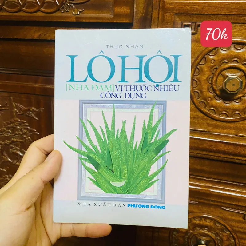 Lô Hội [Nha Đam] - Vị Thuốc Nhiều Công Dụng -  Thục Nhàn#HATRA 739595