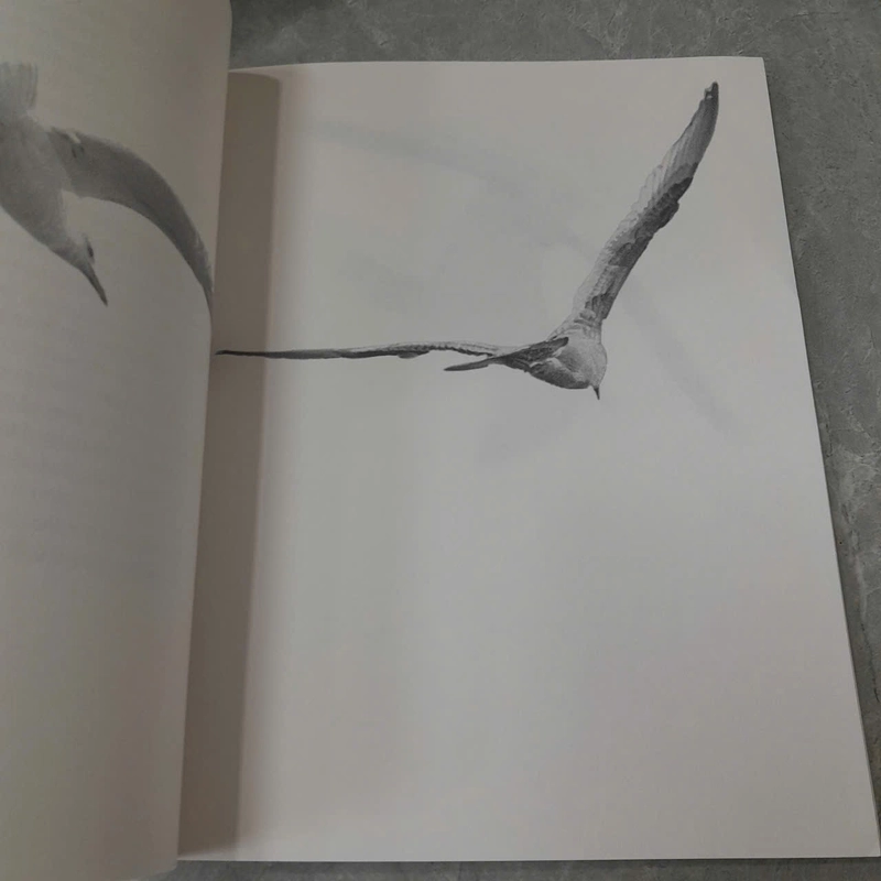 JONATHAN LIVINGSTON SEAGULL - RICHARD BACH 538932